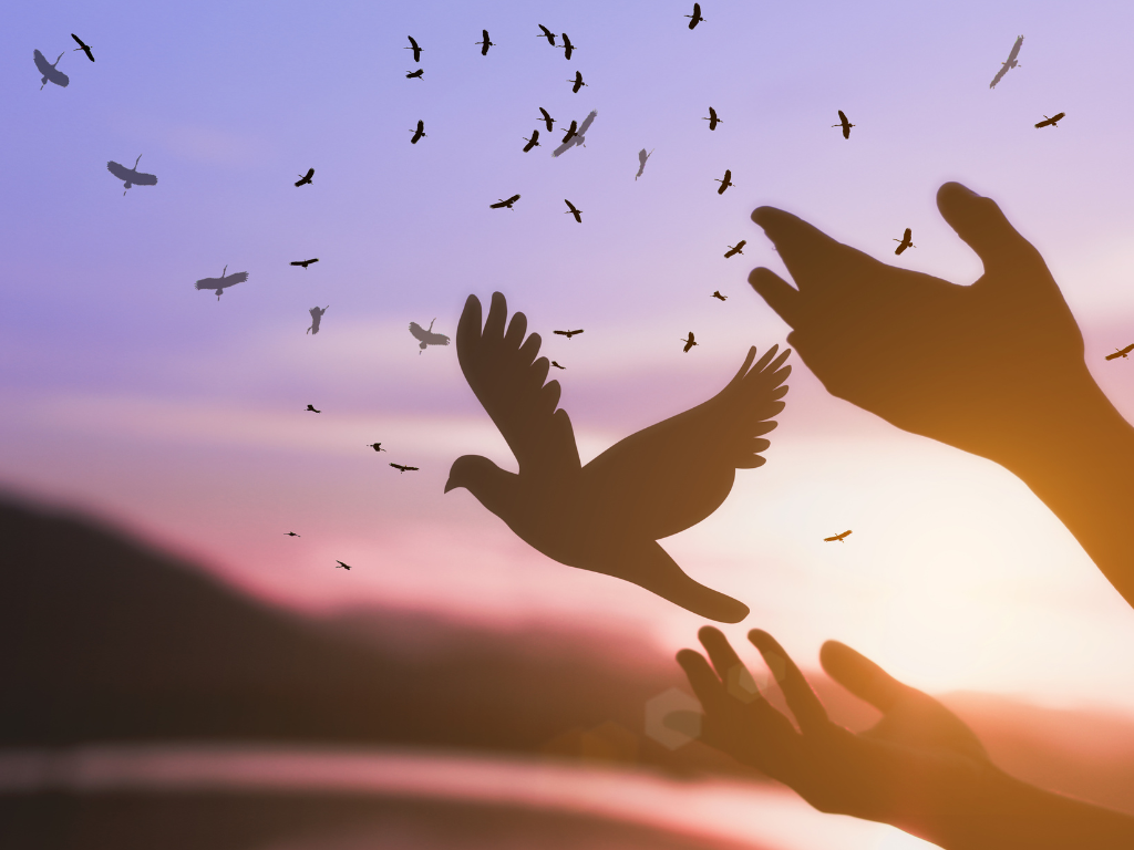 Unlocking Hope